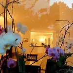 Canasta Hotel